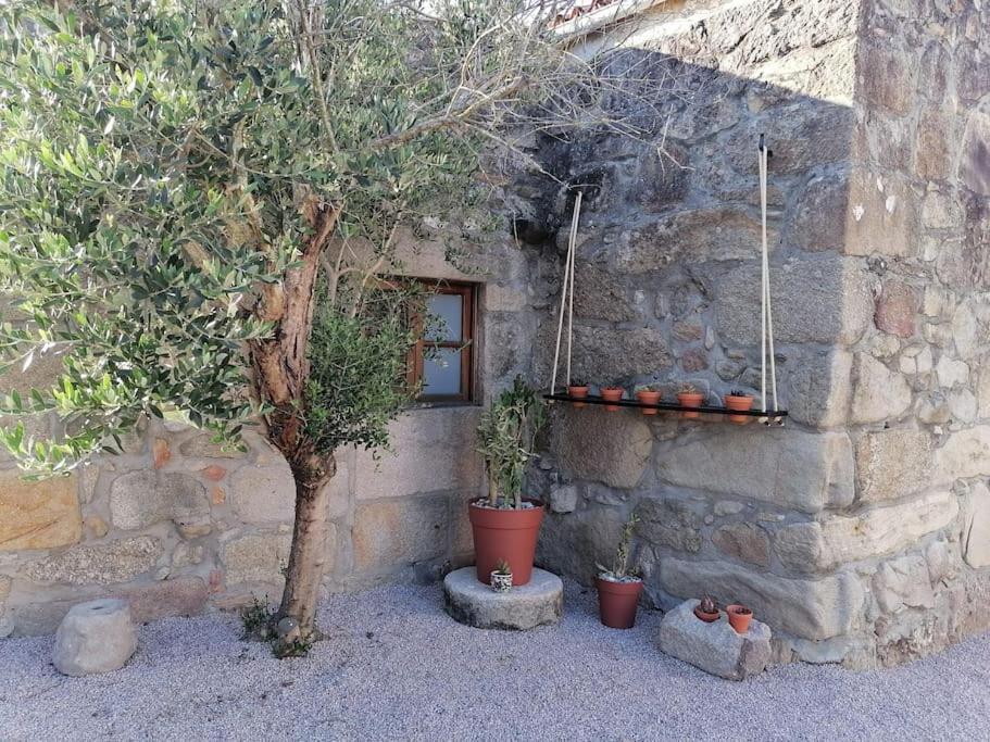 Cristina Holiday home Nigran